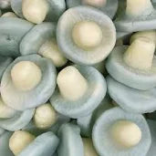 Bubblegum Mushrooms